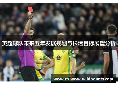 英超球队未来五年发展规划与长远目标展望分析 英超球队未来五年发展规划与长远目标展望分析
