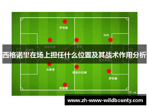 西格诺里在场上担任什么位置及其战术作用分析