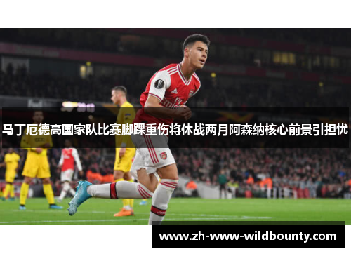 马丁厄德高国家队比赛脚踝重伤将休战两月阿森纳核心前景引担忧 马丁厄德高国家队比赛脚踝重伤将休战两月阿森纳核心前景引担忧